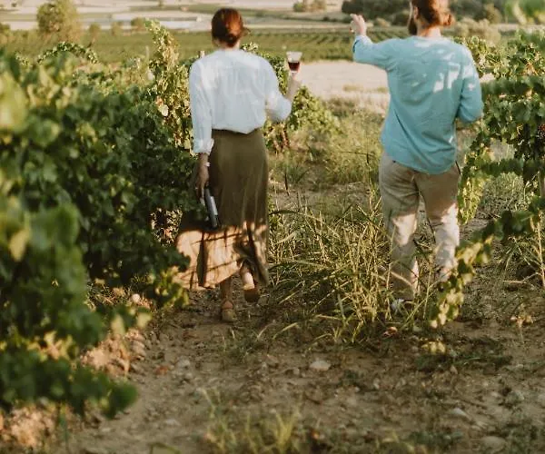 Sidroandco Rural * Secastilla